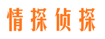 芦山找人公司